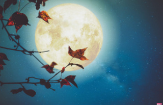 Full Moon 2023: When's Next in August?