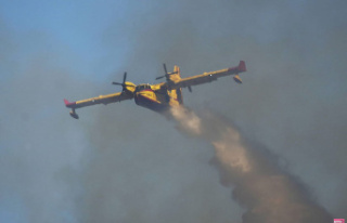 Plane crash in Greece: Canadair crashed while fighting...