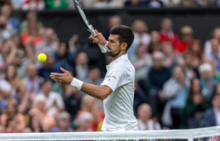 Wimbledon 2023 - LIVE: Alcaraz v Djokovic in a dream...