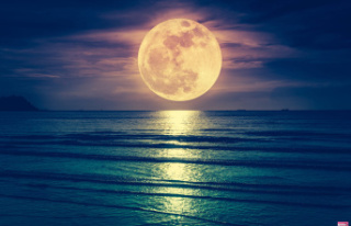 Super Moon 2023: Effect, Meaning, All About August...