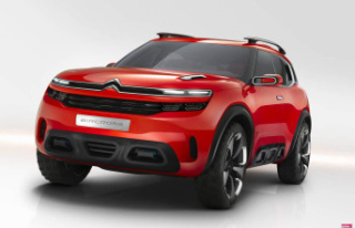 Citroën simplifies its range, what are the names...