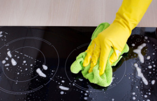 Induction Cooktop Cleaning: Tips Every Cooktop Owner...
