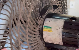 The right way to clean a fan without taking it apart