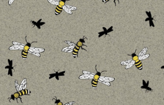 Gifted kids spot the bee with its stinger in less...