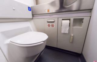 This flight attendant advises never to use toilet...