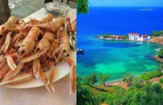 In this tourist-free paradise, you eat fish, drink...