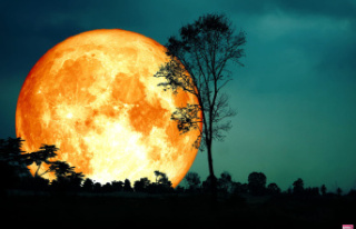 Super Blue Moon: What You'll Really See This...