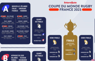 Rugby World Cup 2023 Calendar: dates, times, program...