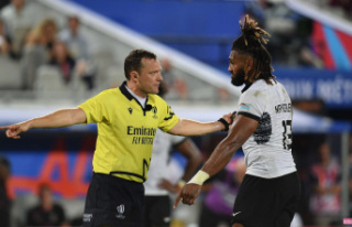 Matthew Carley: who is the referee of the France -...