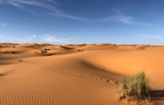 What's under the desert sand?
