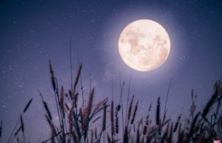 Full Moon October 28: Which Astrological Signs Will...
