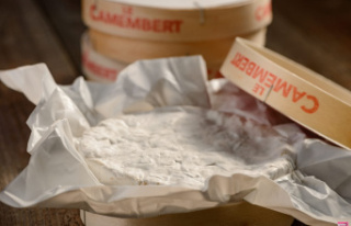 Europe is attacking our good old boxes of Camembert...