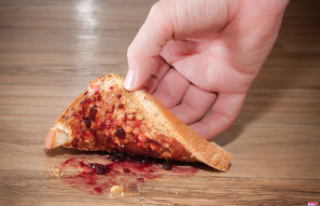 Is the “3 second rule” when food falls on the...