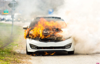 These cars can catch fire without warning, this French...