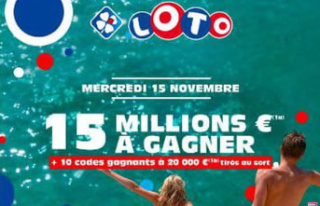 Loto result (FDJ): the draw for this Wednesday, November...
