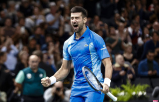 Masters 1000 Paris-Bercy 2023: Djokovic, winner against...