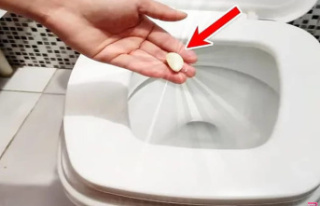 The genius idea: put a clove of garlic in the toilet...