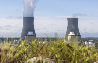Experts warn about nuclear safety in France, a control...