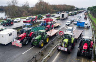 Do the French support the farmers' protest?