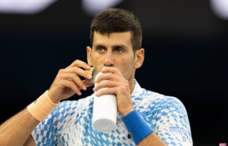 Novak Djokovic's 'magic drink' contains...