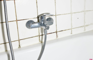 Clean Shower Mold in Just 10 Minutes and No Bleach...