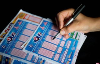 Loto result (FDJ): the draw for Monday January 15,...
