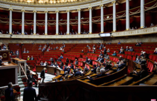 300 euros more per month: MPs embarrassed by their...
