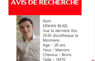 Disappearance of Erwan in Deux-Sèvres: research continues,...
