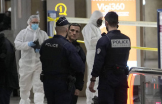 Paris station knife attack: suspect indicted for attempted...