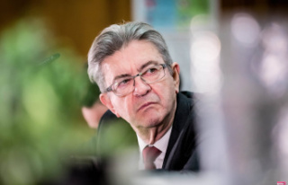 Mélenchon does not digest the appeal of a green elected...