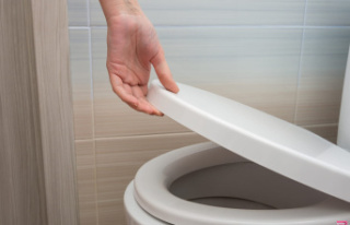 With this hidden button, cleaning your toilet will...