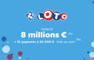 Loto result (FDJ): the draw for Monday February 12,...