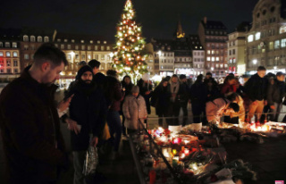 Strasbourg Christmas market attack trial: who are...