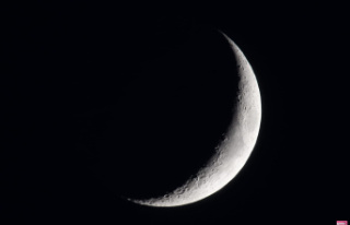 What effects does the new Moon of January 11 have...