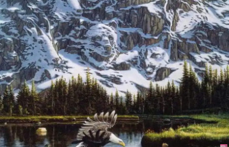 Your eye doctor will give you 10/10 if you can spot the second eagle hidden in the mountain in less than 10 seconds