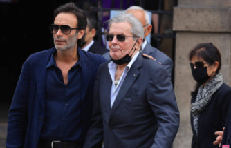Alain Delon affair: “There was an altercation”, his son Anthony accuses Hiromi Rollin again