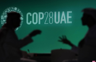 At COP28, oil lobbies too powerful? Challenges for climate protection