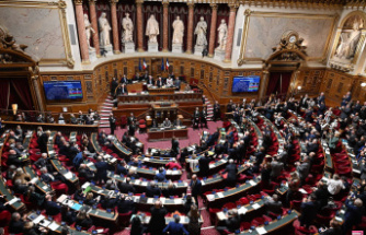 IVG in the Constitution: how will the vote take place at the Versailles Congress?