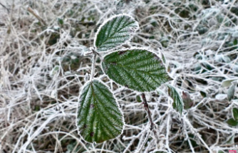 Return of frost, coldest day: temperatures drop below 0 degrees this Tuesday
