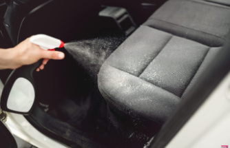 Experts praise this natural product, it is formidable for removing stains from car seats