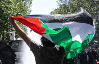 Pro-Palestinian mobilization: the movement spreads to several cities