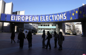 Europeans 2024: the frightening participation rate predicted by pollsters