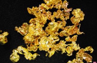 A gold prospector discovers a nugget worth 50,000 euros, his technique amazed everyone