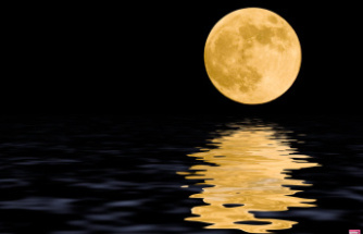 The April full moon: a call to order awaits these different signs of the zodiac