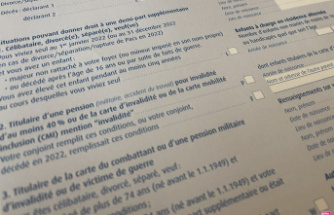 All these French people must check this tax box to reduce their amount
