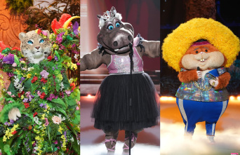 Mask Singer: Hamster, Hippopotamus, Scarecrow... The complete list of clues and predictions!