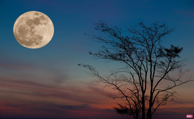 The Super Harvest Moon this September 29 will be the last of 2023, how can it best be observed?