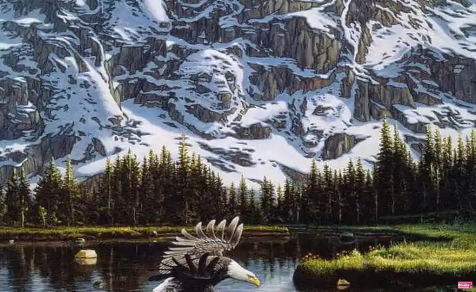 Your eye doctor will give you 10/10 if you can spot the second eagle hidden in the mountain in less than 10 seconds