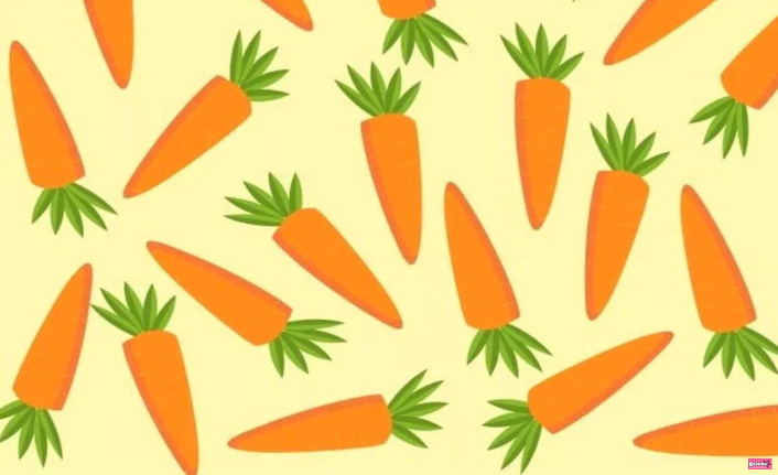 Only geniuses can find the carrot that is different from the others in this picture in 5 seconds